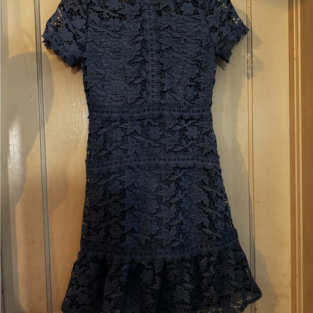 Elegant Lace Dress